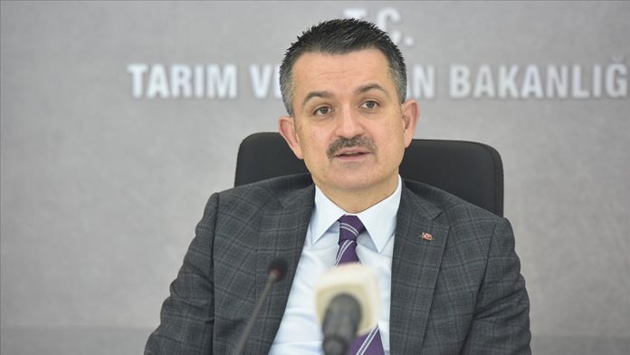 bekir paldemirli