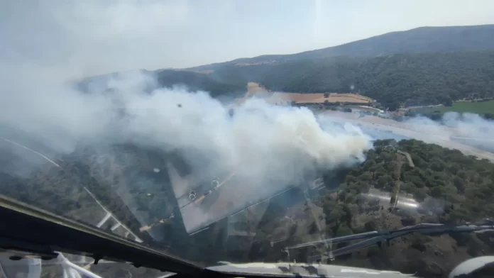 Çanakkale'deki orman yangını kontrol altına alındı!